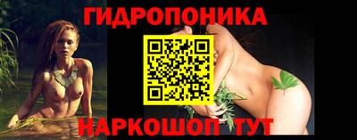 СК Гусь-Хрустальный