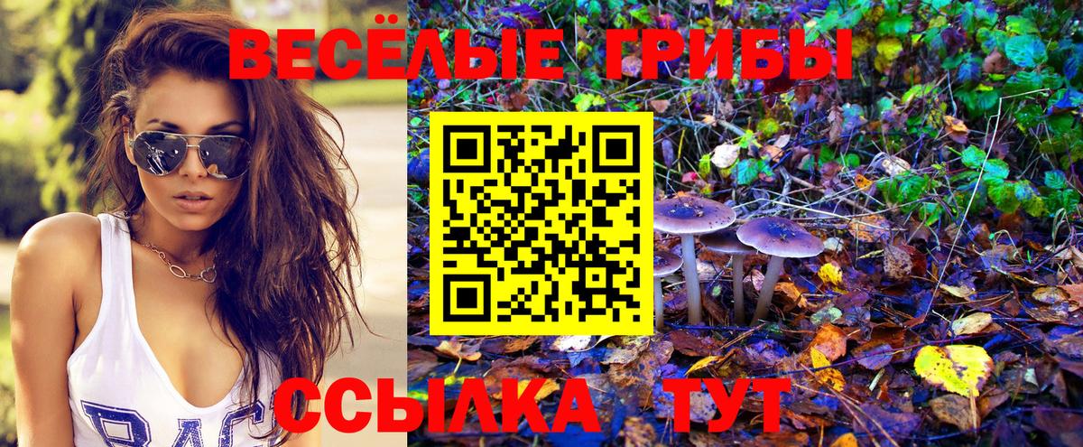 цены наркотик  Ессентуки  Галлюциногенные грибы мицелий 