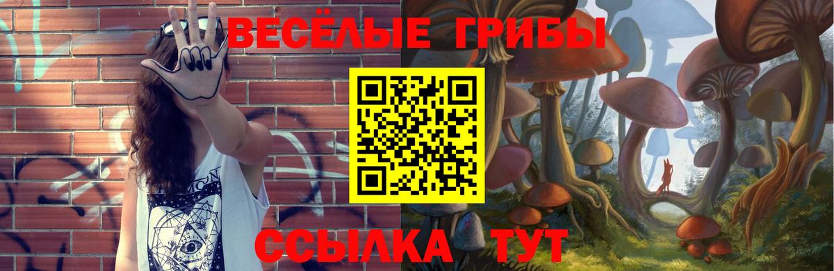 Галлюциногенные грибы GOLDEN TEACHER  Вход с VPN  наркотики  Ессентуки 