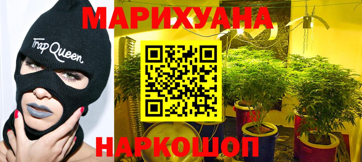 Канабис план  Конопля планчик  Ессентуки  Бошки Шишки план  Марихуана OG Kush 